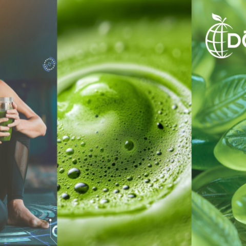 Doehler India Pvt Ltd